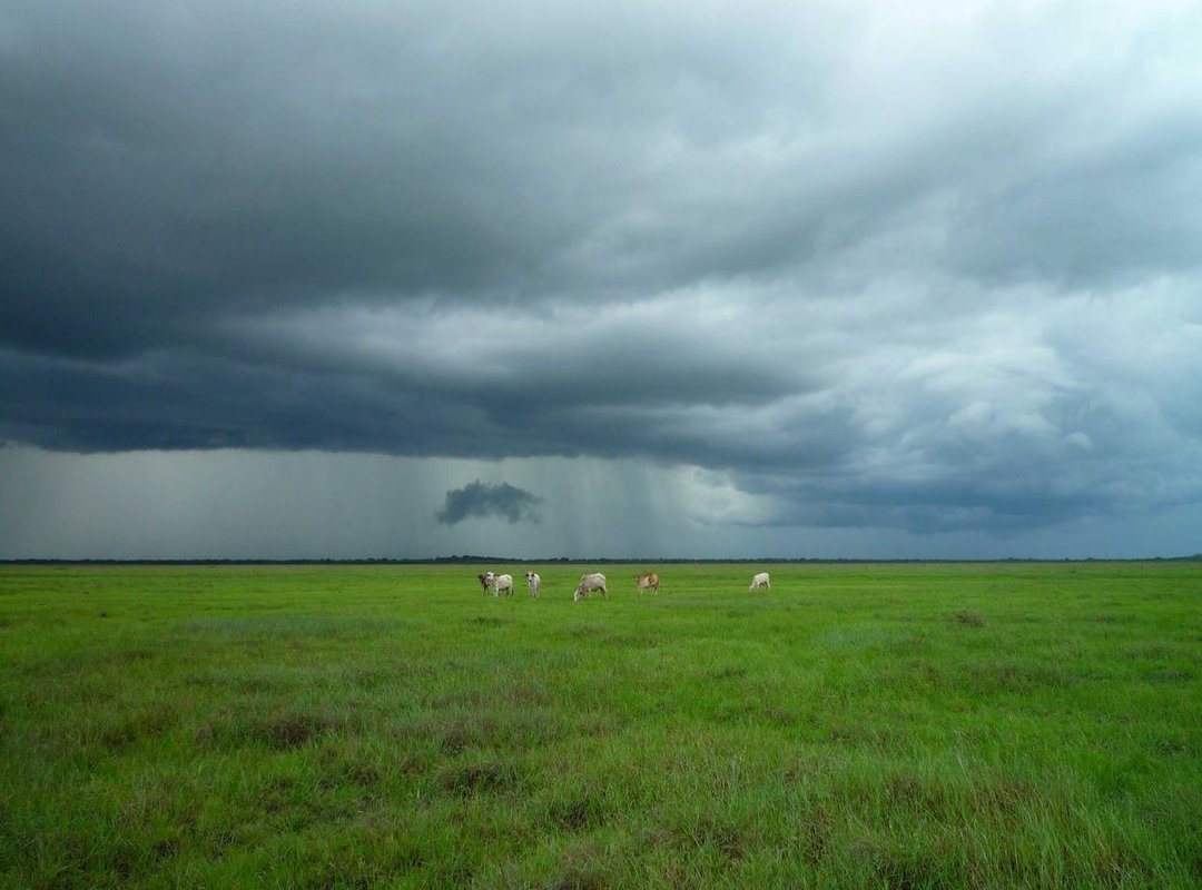 A Distinguished Career: Contributions to Law and Society