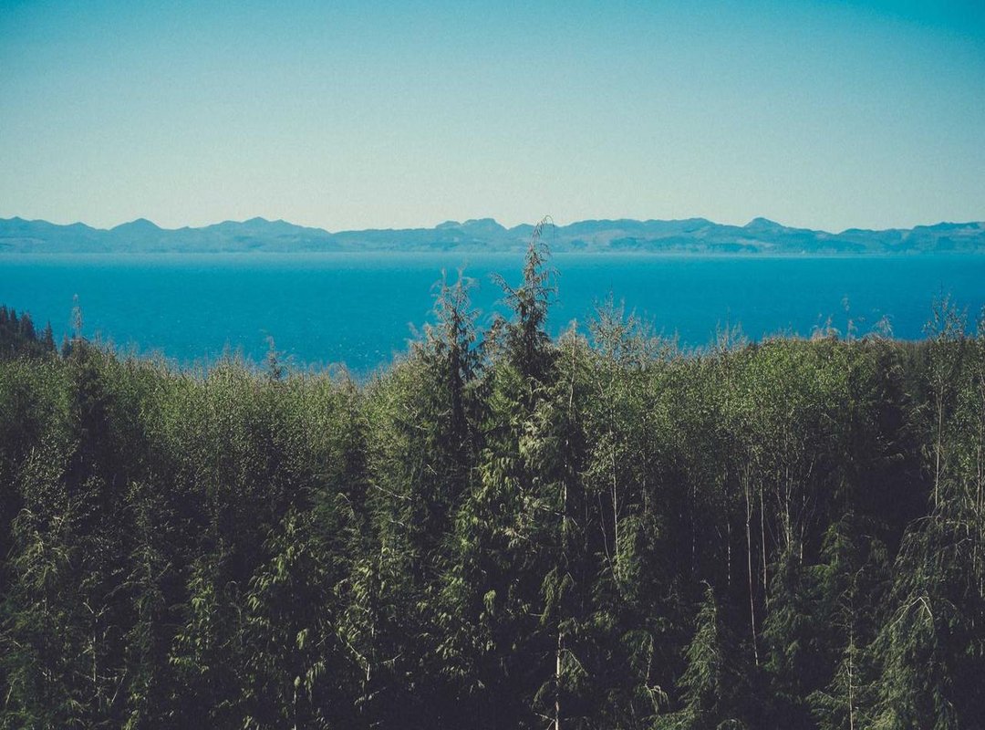 Responding to a Privacy Breach: What to Do If It Happens to You